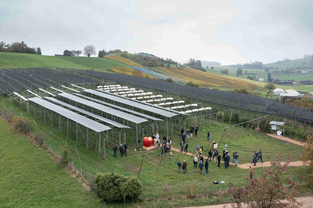 Pilotanlage in Frick über der Apfelplantage: Fläche 600 m2, Leistung 48 kWp, Ertrag ca. 50 MWh pro Jahr. (Foto: Michael Küng)